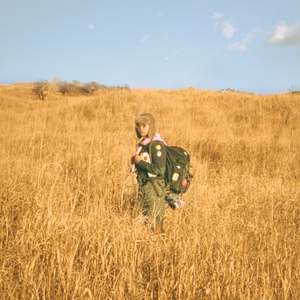 巴西大码纹大屁股的起源和历史
