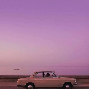 巴西大码纹大屁股的起源和历史
